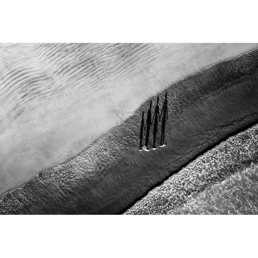 “Family Picture” By Mariola Glajcar, Poland (3rd Place In The Lifestyle Category)