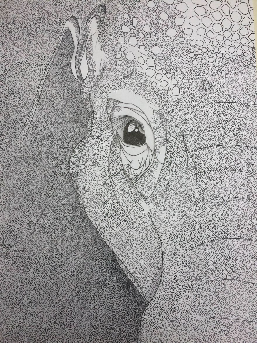 A Mazing Elephant Ii