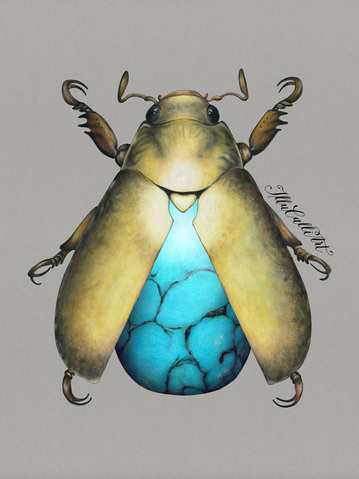 I Drew Beetles That Hide Colourful Minerals Underneath Their Shiny Wing Cases I Drew Beetles That Hide Colourful Minerals Underneath Their Shiny Wing Cases