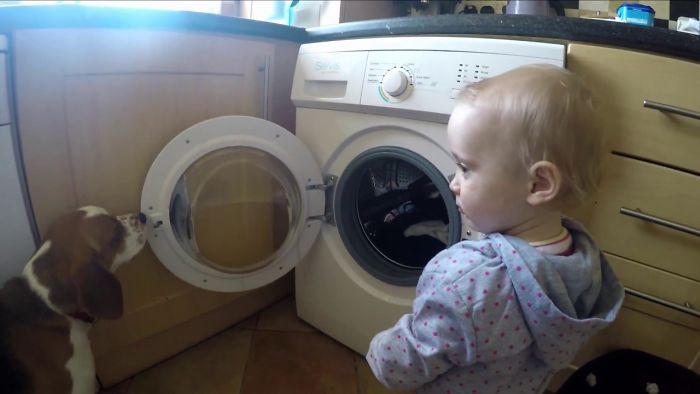 Dog And Baby Pranked By Magic Washing Machine