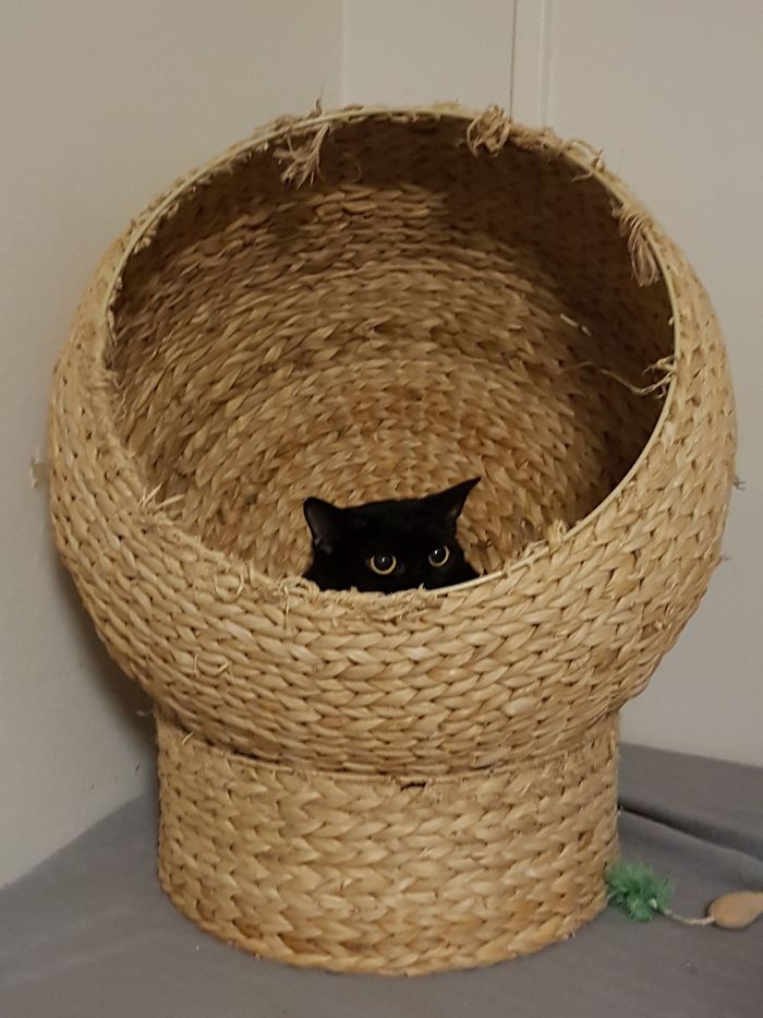 15 Reasons 'Why I Hate My Job' 15 Reasons 'Why I Hate My Job'