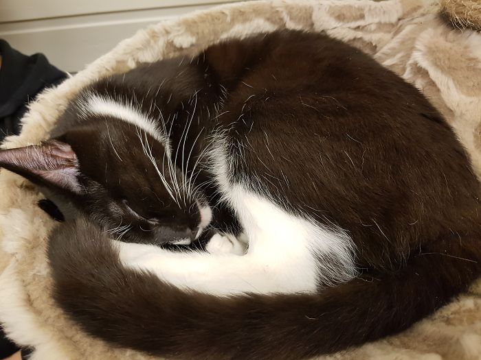 15 Reasons 'Why I Hate My Job' 15 Reasons 'Why I Hate My Job'