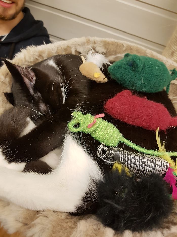 15 Reasons 'Why I Hate My Job' 15 Reasons 'Why I Hate My Job'