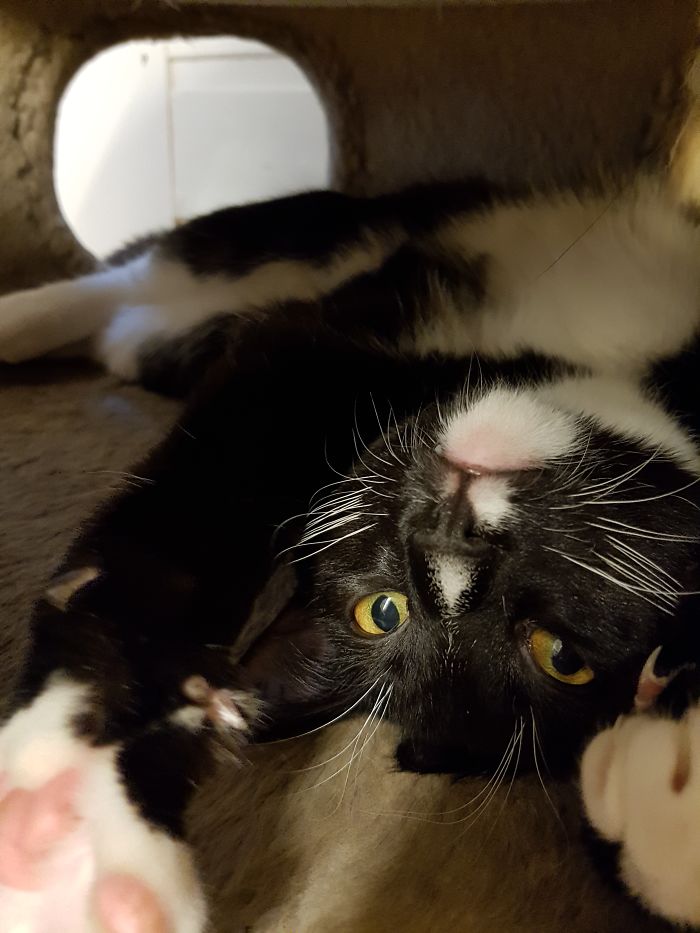 15 Reasons 'Why I Hate My Job' 15 Reasons 'Why I Hate My Job'