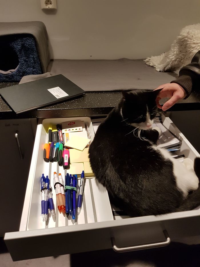 15 Reasons 'Why I Hate My Job' 15 Reasons 'Why I Hate My Job'