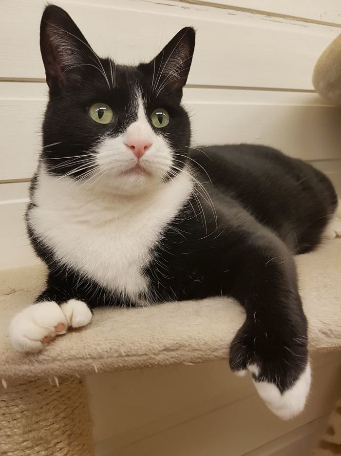 15 Reasons 'Why I Hate My Job' 15 Reasons 'Why I Hate My Job'