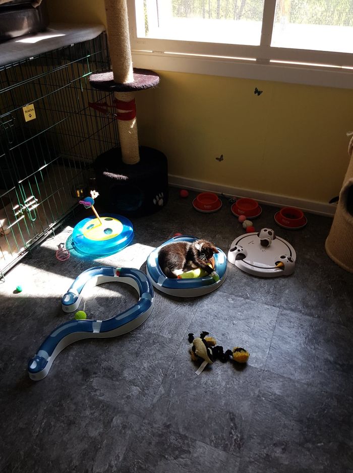 15 Reasons 'Why I Hate My Job' 15 Reasons 'Why I Hate My Job'