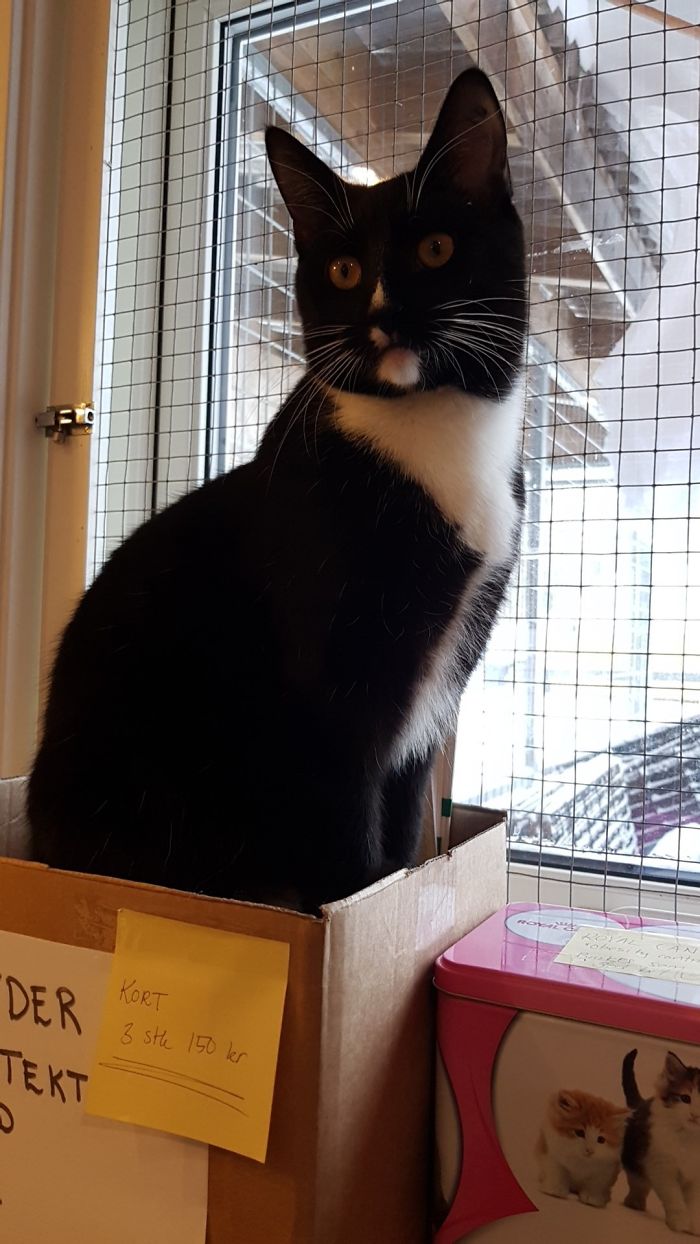 15 Reasons 'Why I Hate My Job' 15 Reasons 'Why I Hate My Job'