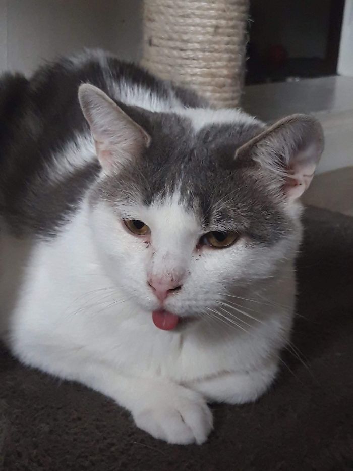 15 Reasons 'Why I Hate My Job' 15 Reasons 'Why I Hate My Job'