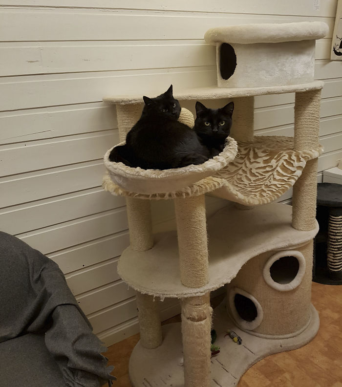 15 Reasons 'Why I Hate My Job' 15 Reasons 'Why I Hate My Job'