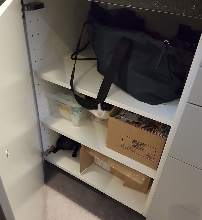 15 Reasons 'Why I Hate My Job' 15 Reasons 'Why I Hate My Job'