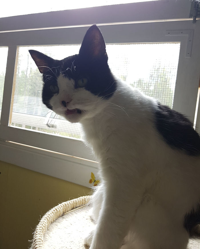 15 Reasons 'Why I Hate My Job' 15 Reasons 'Why I Hate My Job'