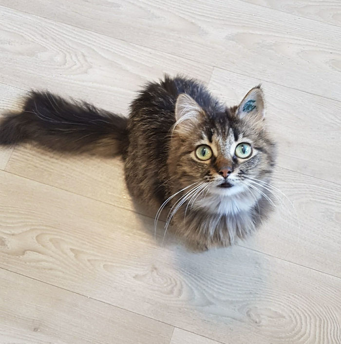 15 Reasons 'Why I Hate My Job' 15 Reasons 'Why I Hate My Job'