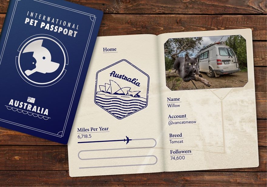 The Jet Set Pets Of Instagram - Who Travel Way More Than Us