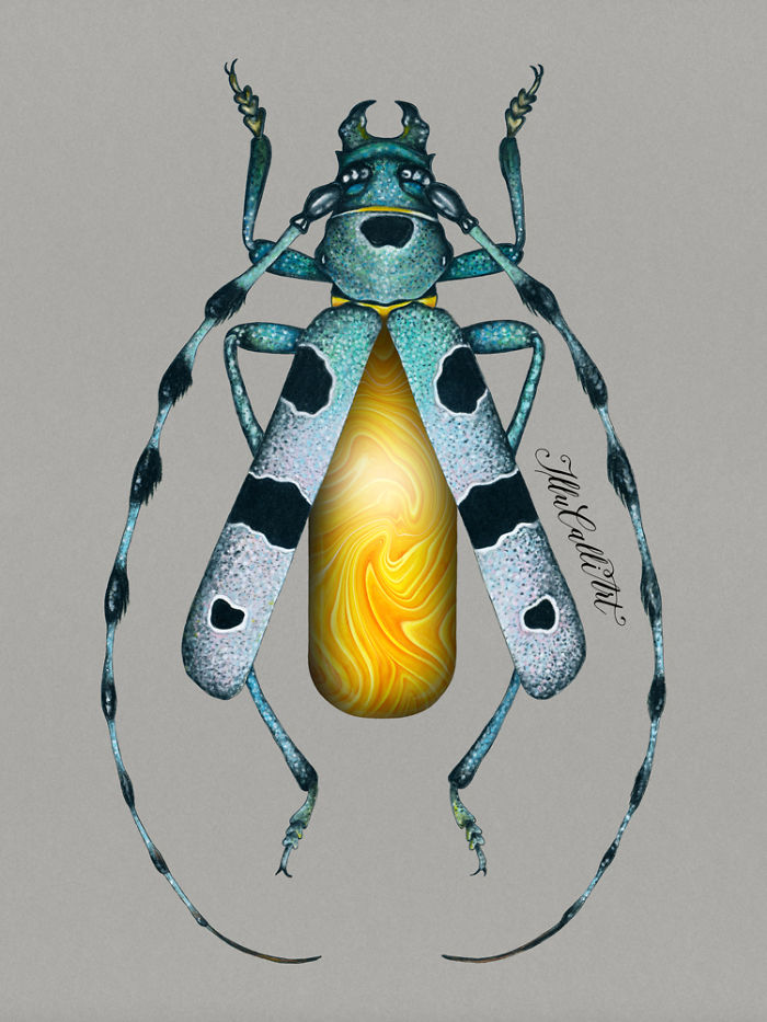 I Drew Beetles That Hide Colourful Minerals Underneath Their Shiny Wing Cases I Drew Beetles That Hide Colourful Minerals Underneath Their Shiny Wing Cases