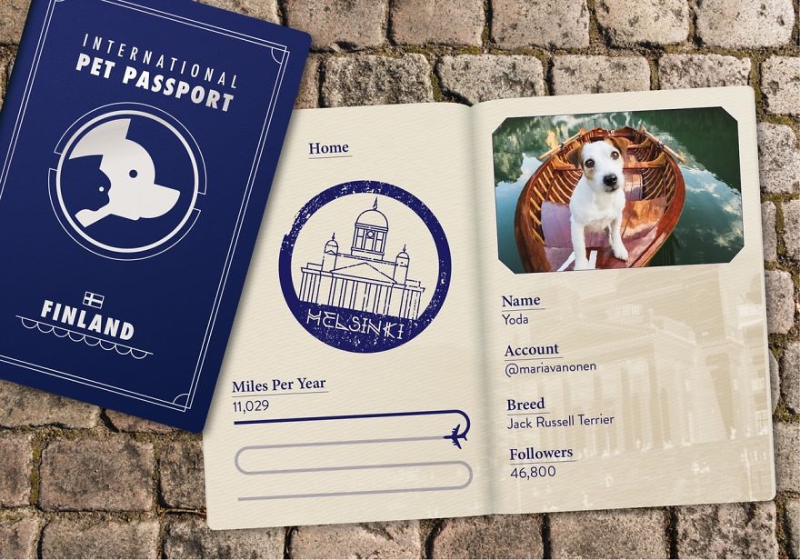 The Jet Set Pets Of Instagram - Who Travel Way More Than Us