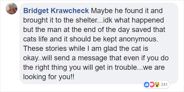 Someone Dumped A Cat At A Shelter Overnight In A Terrible Condition, But After Shaving Its Fur They Saw A True Beauty Someone Dumped A Cat At A Shelter Overnight In A Terrible Condition, But After Shaving Its Fur They Saw A True Beauty