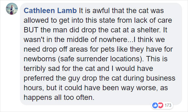 Someone Dumped A Cat At A Shelter Overnight In A Terrible Condition, But After Shaving Its Fur They Saw A True Beauty Someone Dumped A Cat At A Shelter Overnight In A Terrible Condition, But After Shaving Its Fur They Saw A True Beauty