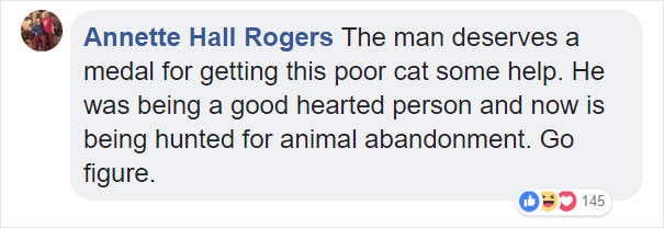 Someone Dumped A Cat At A Shelter Overnight In A Terrible Condition, But After Shaving Its Fur They Saw A True Beauty Someone Dumped A Cat At A Shelter Overnight In A Terrible Condition, But After Shaving Its Fur They Saw A True Beauty