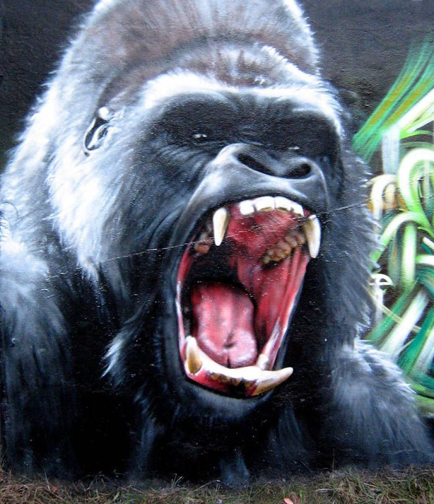 Street Art By Smug One