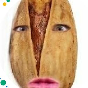mad_pistachio avatar