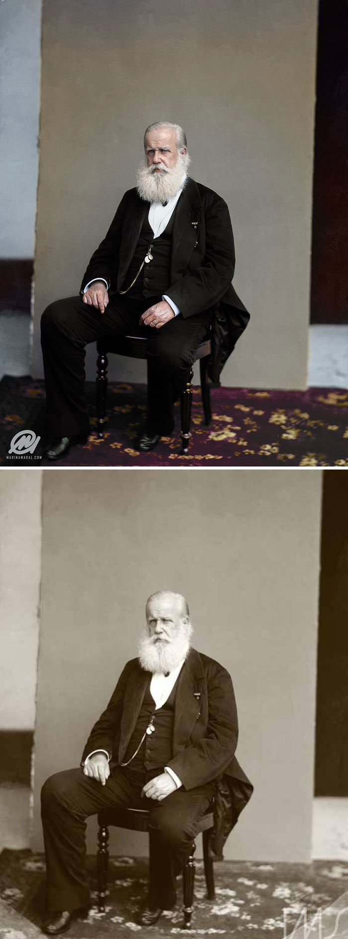 Dom Pedro II, Last Emperor Of Brazil