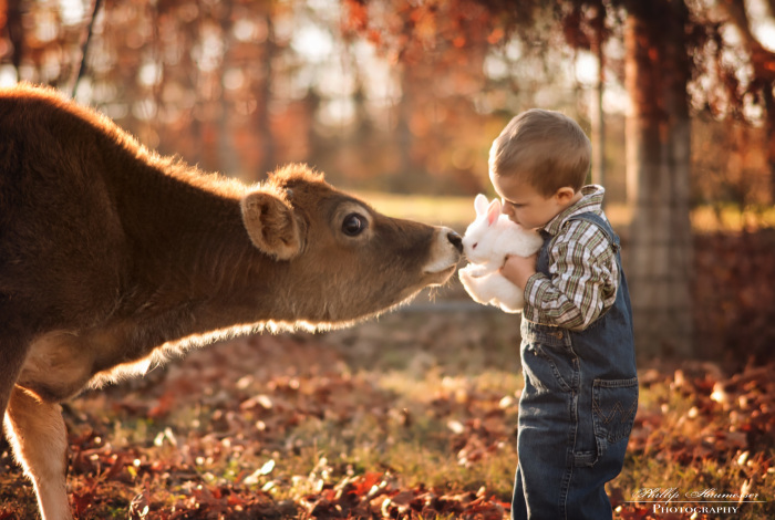 These Epic Photos Of Kids And Barnyard Animals Will Make You Wish You Grew Up On A Farm