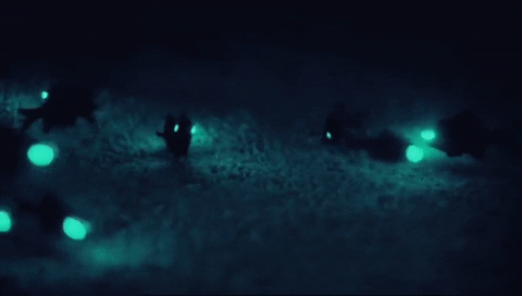 Those Fishes Are Literally Lit