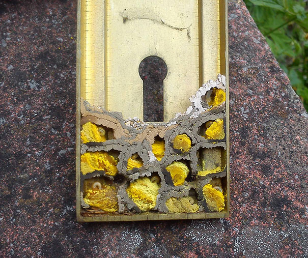 Something Crawled Through The Keyhole And Made A Hive In The Garage Door Handle