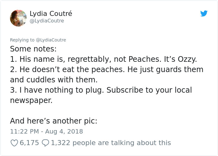 This Adorable Cat Loves Peaches And People On The Internet Are Losing Their Minds This Adorable Cat Loves Peaches And People On The Internet Are Losing Their Minds