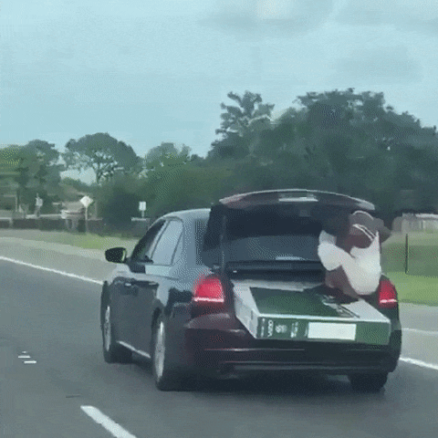 Bungee Cord Would Have Been Too Much Of A Hassle