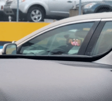 I Guess We Just Watch Episodes Of Friends From Our Driver's Seat Now