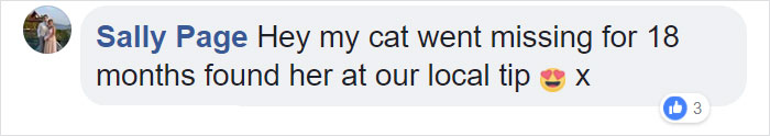 elderly-cat-finds-way-home-13-years-missing22 elderly-cat-finds-way-home-13-years-missing22