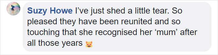 elderly-cat-finds-way-home-13-years-missing23