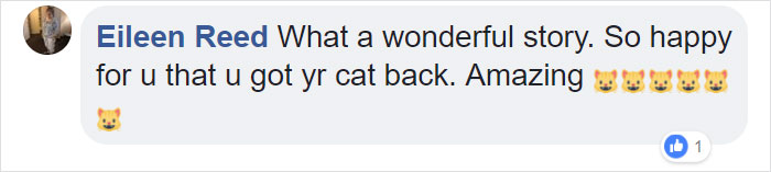 elderly-cat-finds-way-home-13-years-missing24 elderly-cat-finds-way-home-13-years-missing24