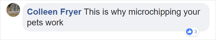 elderly-cat-finds-way-home-13-years-missing25 elderly-cat-finds-way-home-13-years-missing25