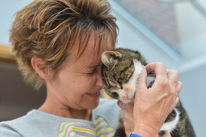 Elderly Cat Finds Its Way Home After 13 Years, And The Reunion Leaves Everybody In Tears Elderly Cat Finds Its Way Home After 13 Years, And The Reunion Leaves Everybody In Tears