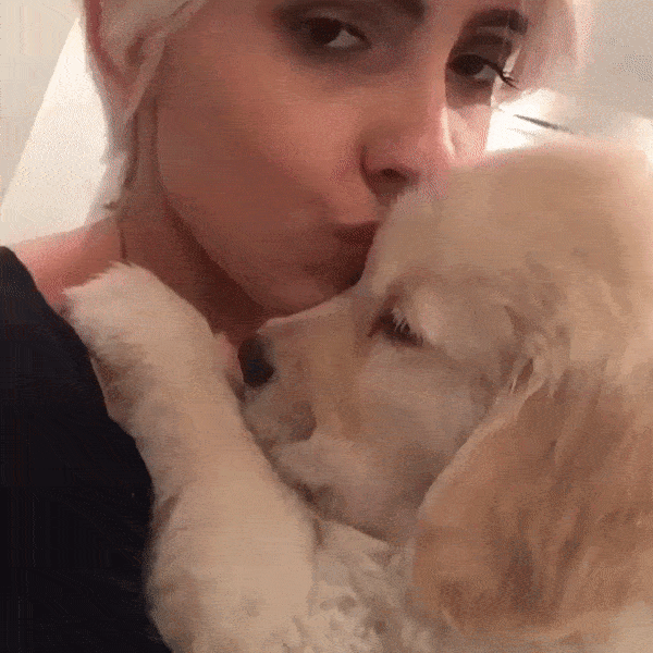 Person holding and kissing one of the cutest puppies, a golden retriever, in a warm embrace.