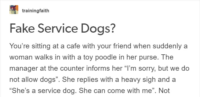 Here's Why People With Fake Service Dogs Are The Worst