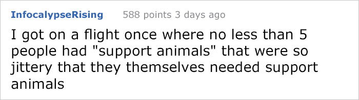 Here's Why People With Fake Service Dogs Are The Worst