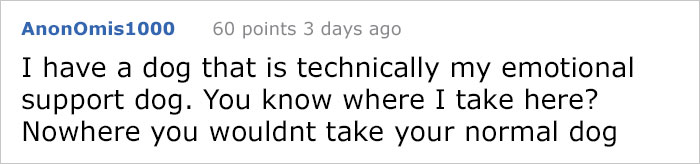 Here's Why People With Fake Service Dogs Are The Worst