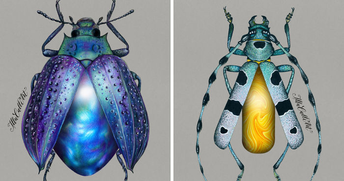 I Drew Beetles That Hide Colourful Minerals Underneath Their Shiny Wing Cases