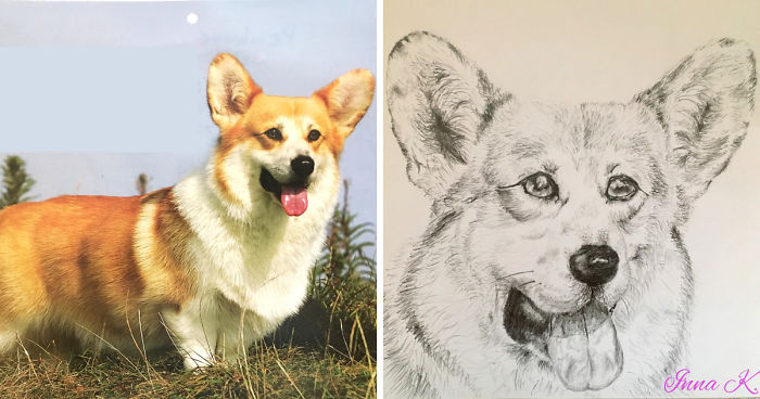 I Make Exclusive, Life-Like Portraits Of Pets And Here Is The Progress