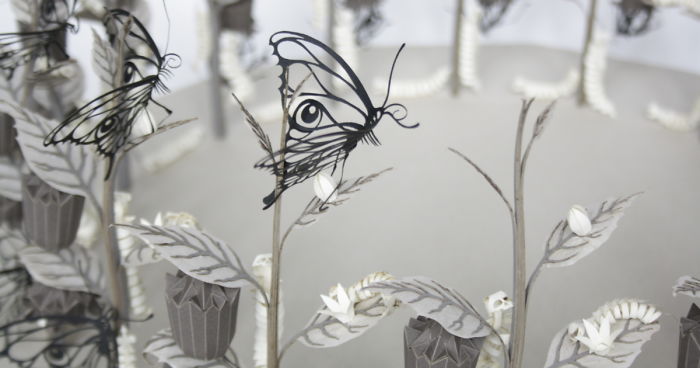 I’m Building A Unique Attraction In Which You Experience The Metamorphosis Of A Butterfly!