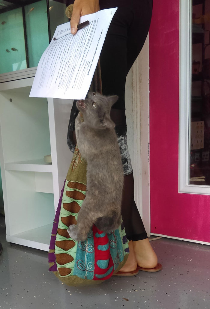 My Favorite Photo From Our Trip To The Animal Shelter