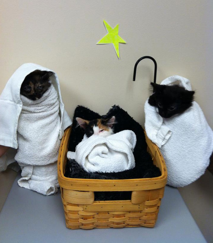 This Is What My Fiance Does At Work On Her Free Time