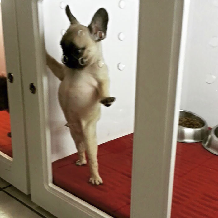 The Day My Mom Found Me