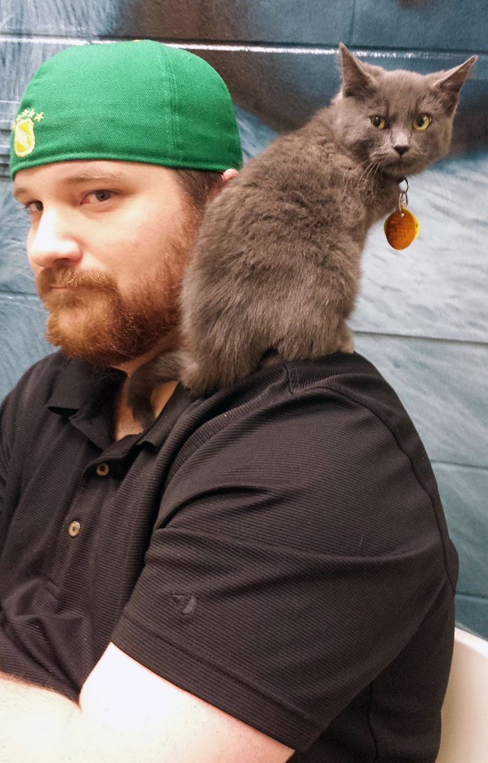 Went To The Humane Society To Look At A Kitty. I Think I Was Adopted