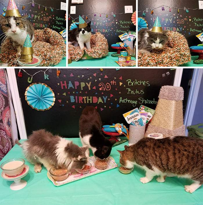 We Held A Surprise Birthday Party For Some Of Our Eldest