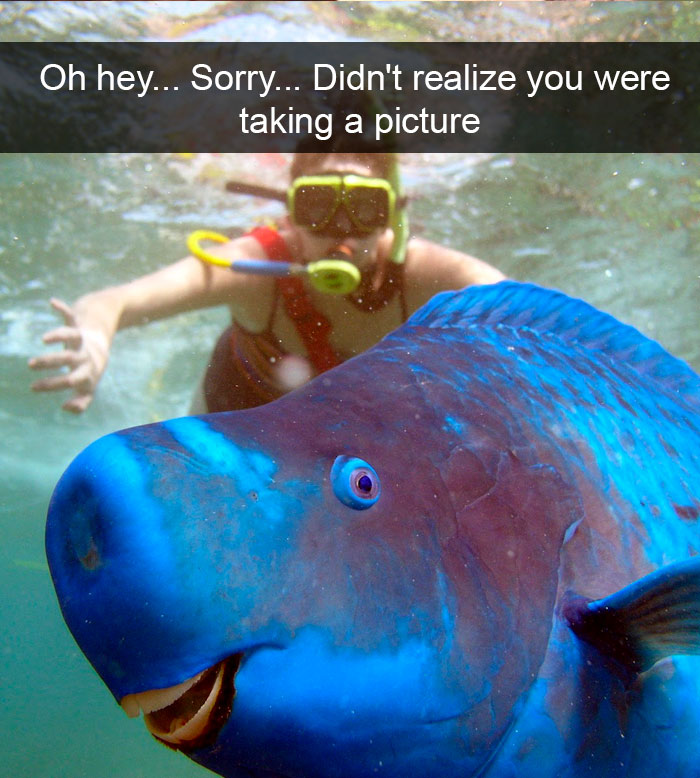 Oh Hey... Sorry... Didn't Realize You Were Taking A Picture